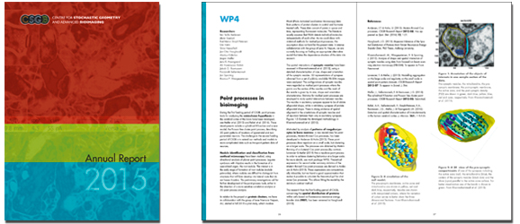 CSGB Annual Report 2015